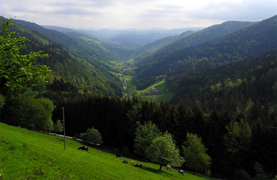 Col des Bagenelles (Vogesen)