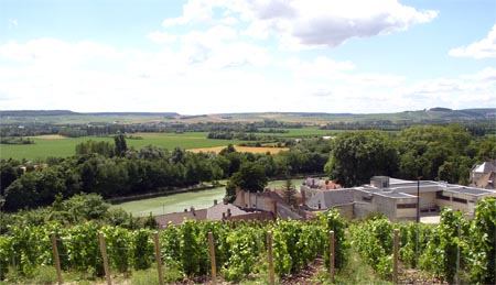 Blick Richtung Epernay