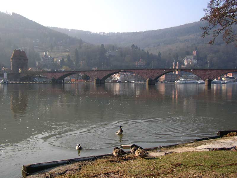 Miltenberg (Bayern)