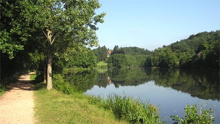 Wanderweg und Weiher in Niederwürzbach